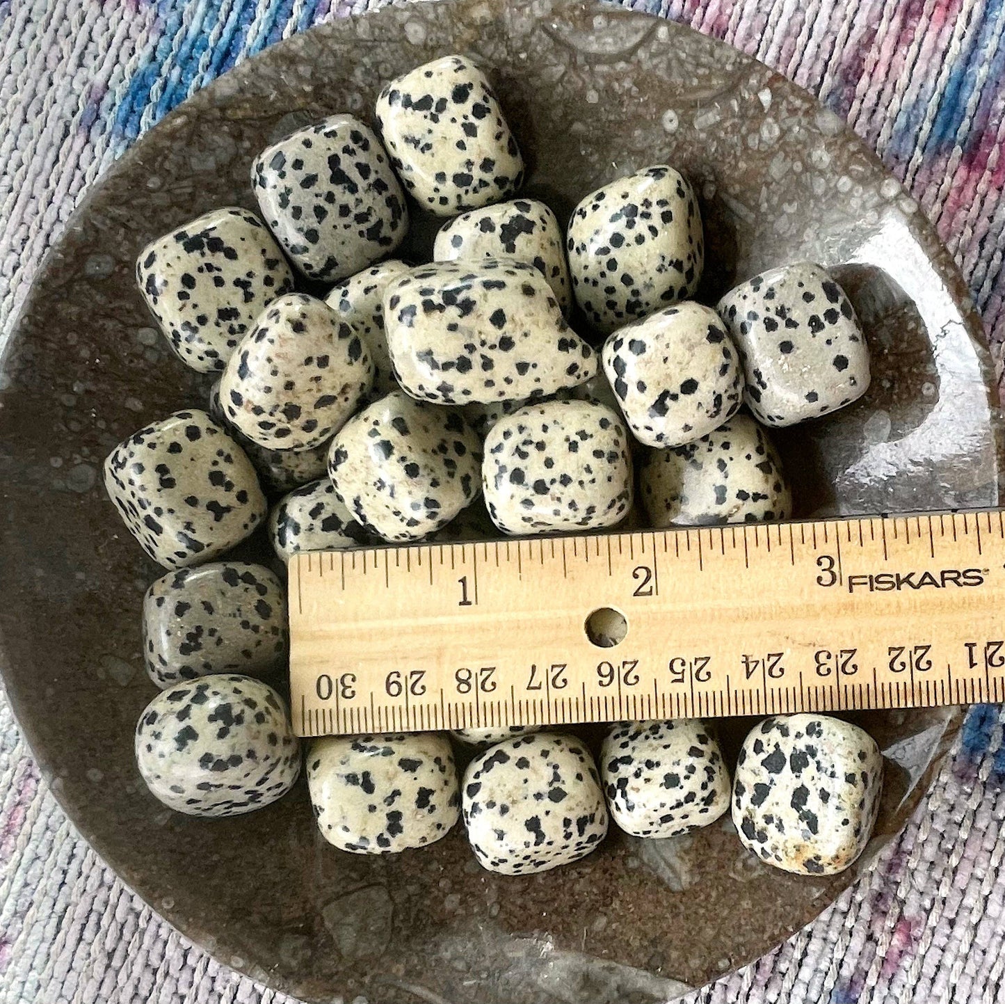 Dalmatian Jasper Tumbled Stone