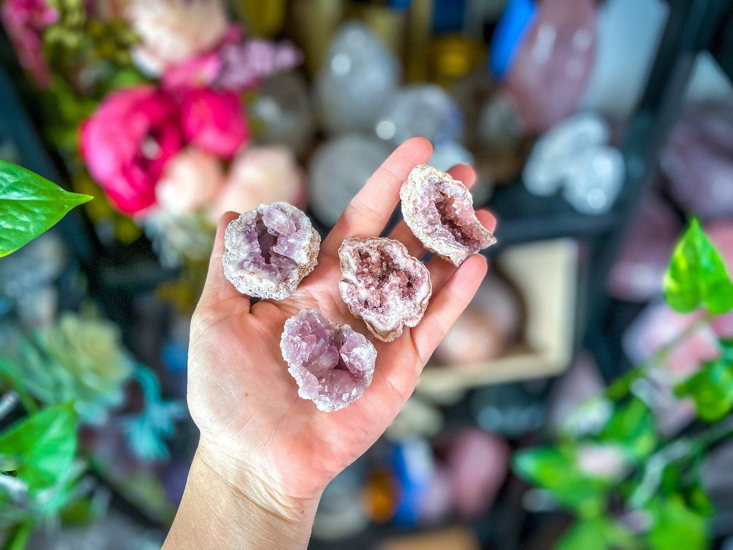 Pink Amethyst Cluster
