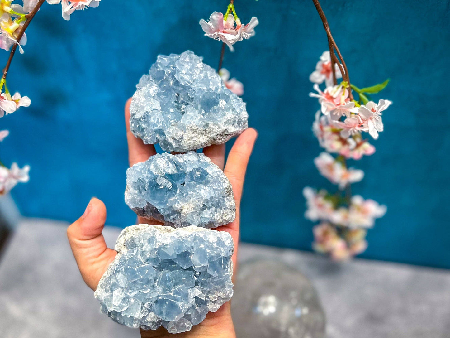 Celestite Clusters