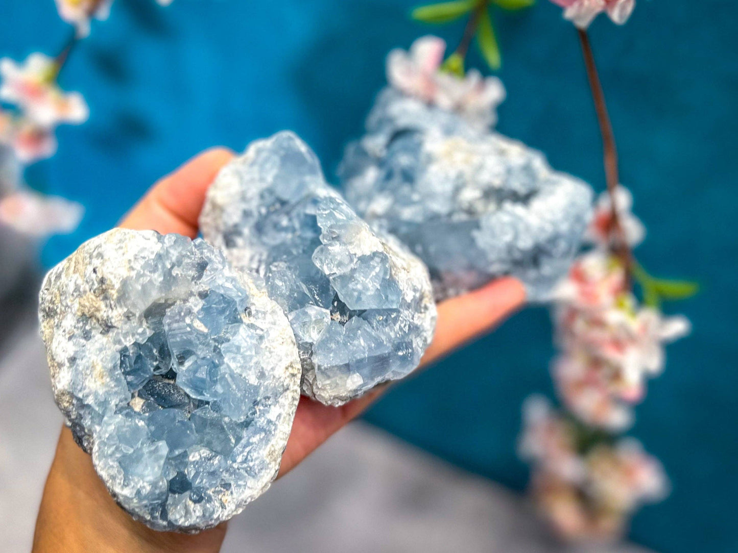 Celestite Clusters