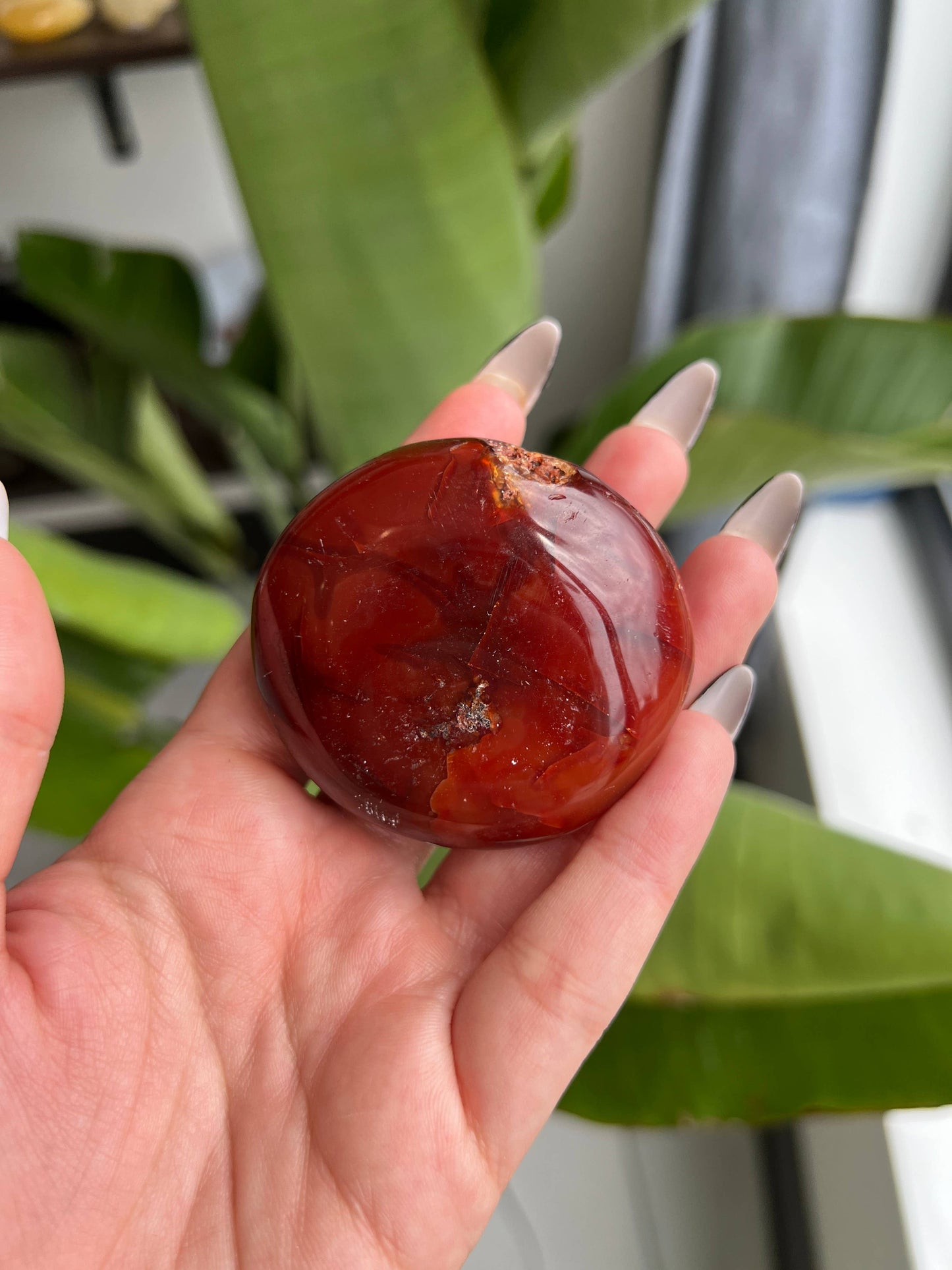 Carnelian Crystal Palm Stone