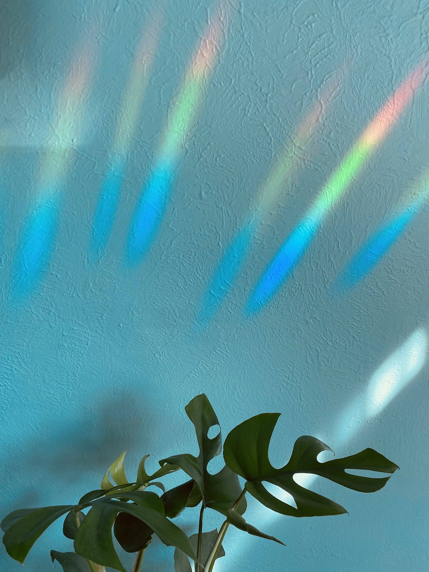 A Good Day Suncatcher Sticker