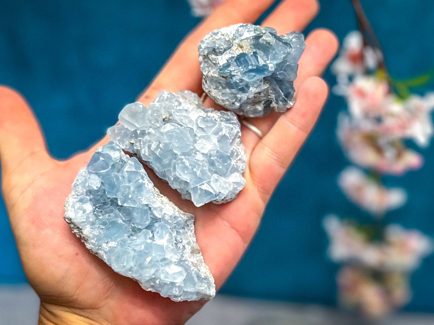 Celestite Clusters