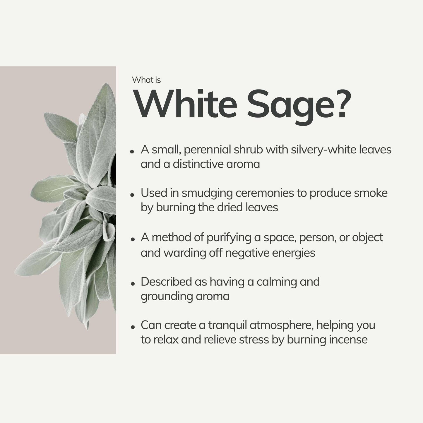 Mini White Sage Hand Rolled Incense | 30 Sticks