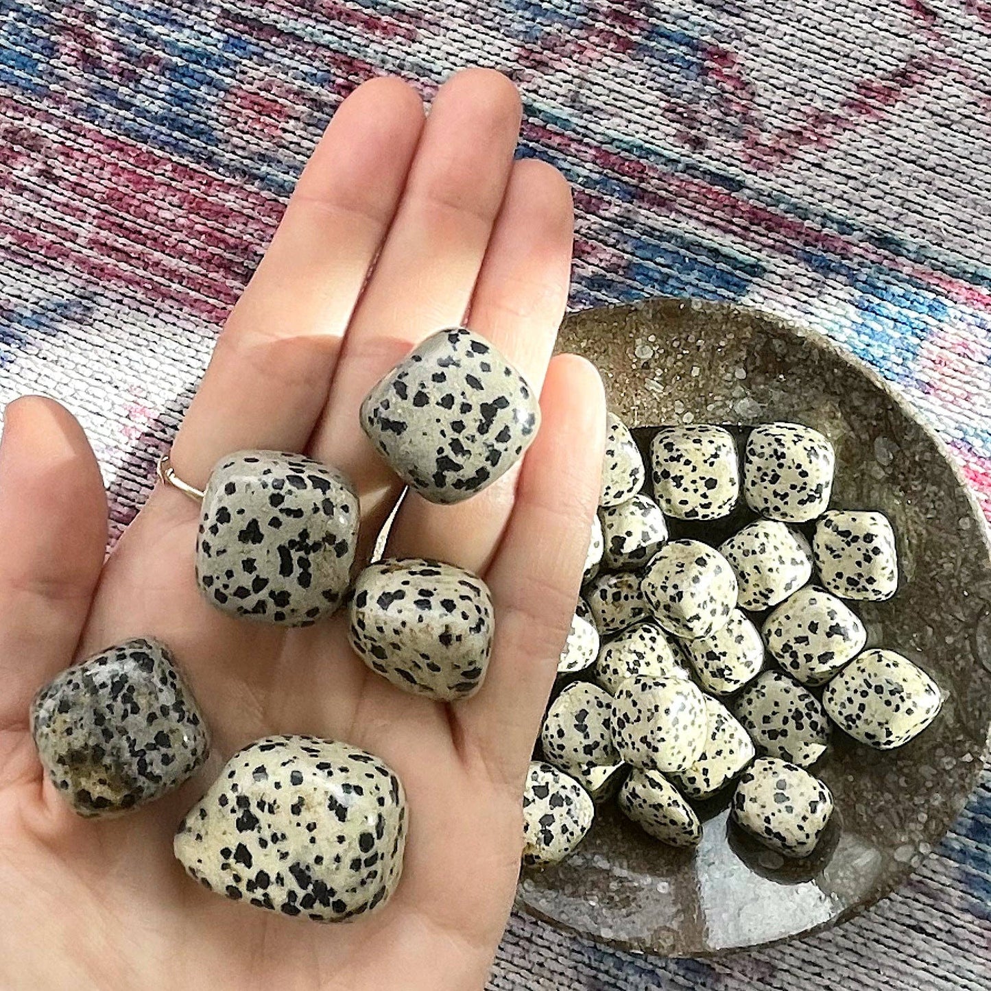 Dalmatian Jasper Tumbled Stone