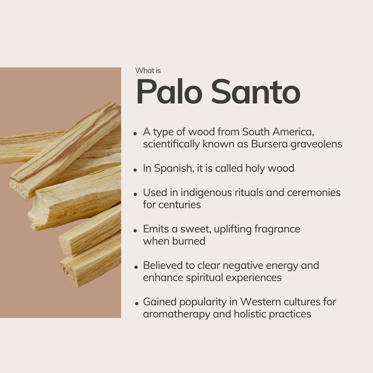 Mini Palo Santo Hand Rolled Incense | 30 Sticks