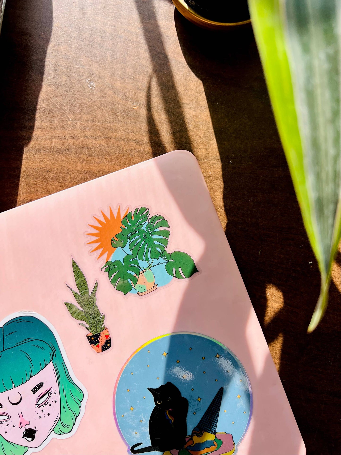 Monstera Plant Clear Sticker