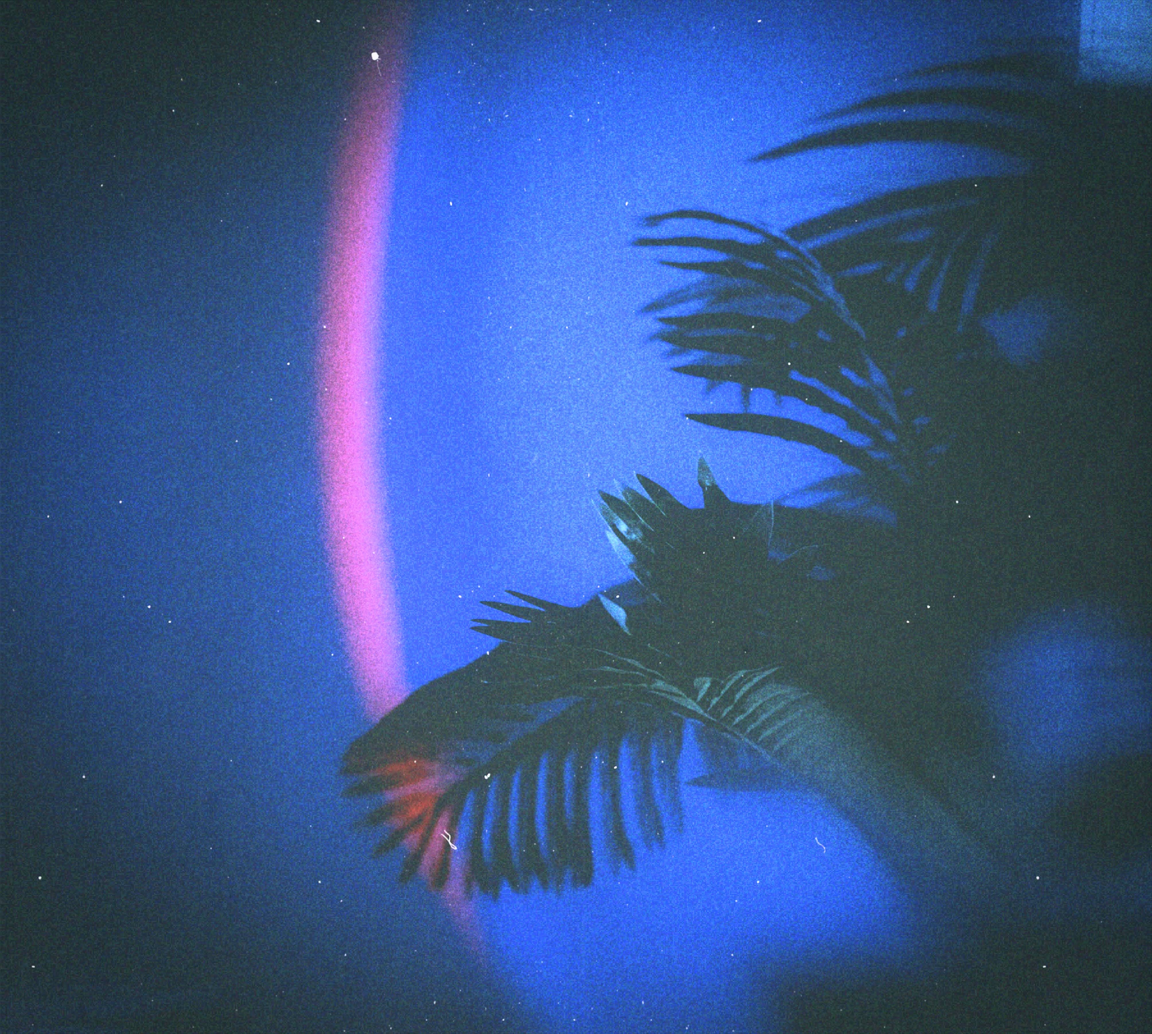 Nova Aura Healing Services