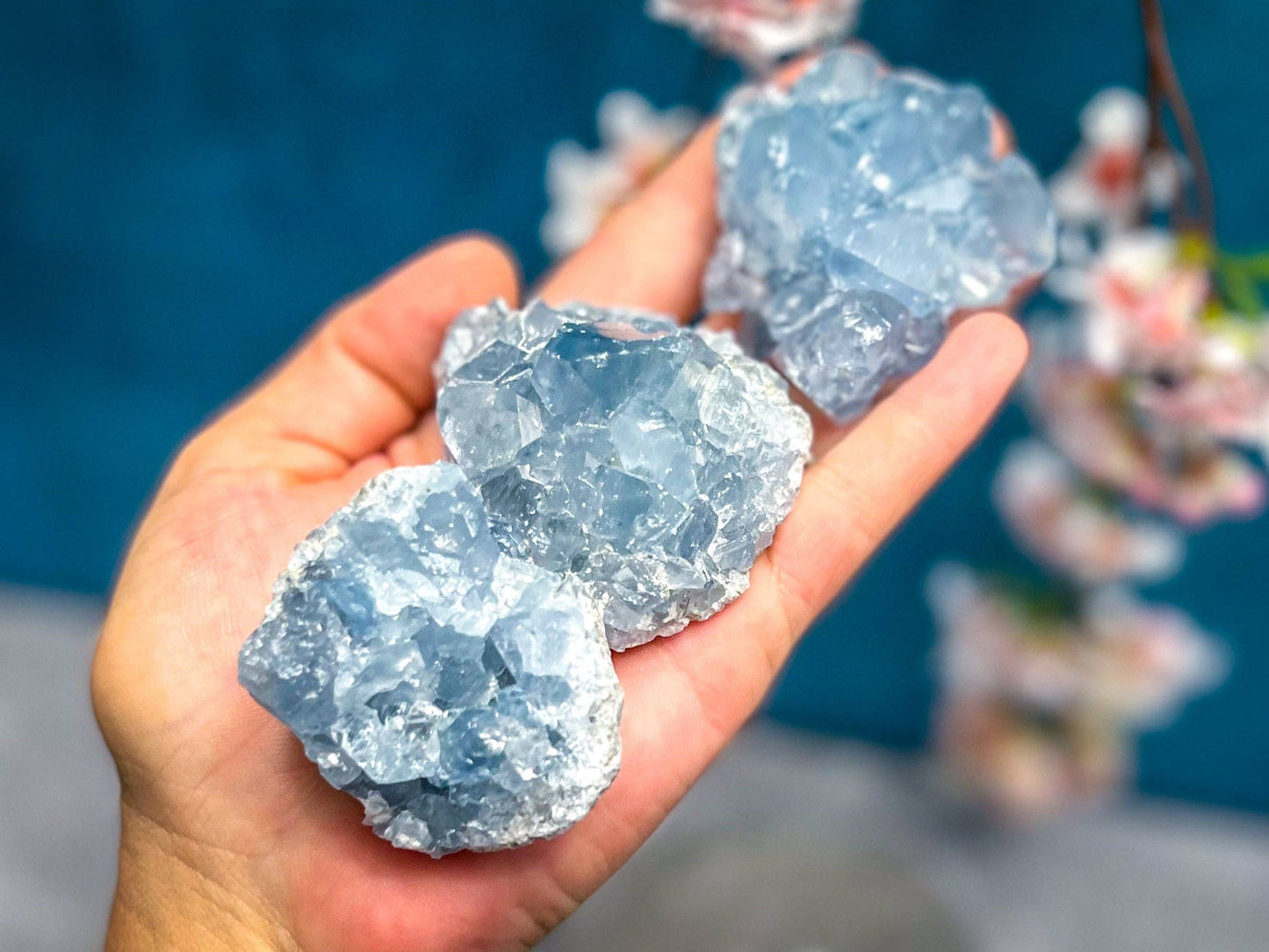 Celestite Clusters