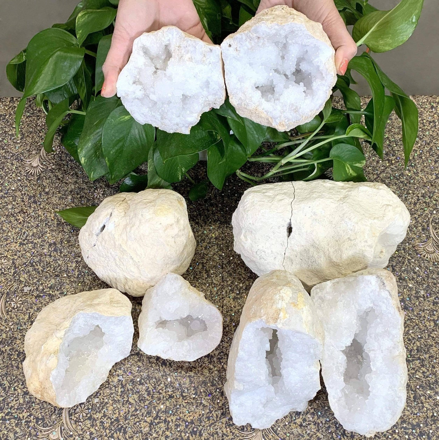 White Quartz Druzy Geode