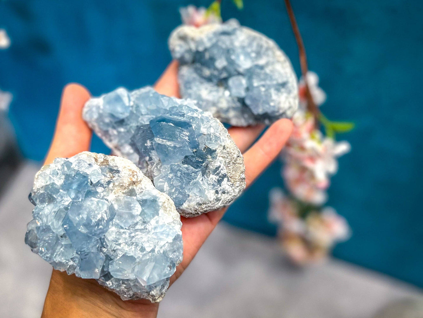 Celestite Clusters