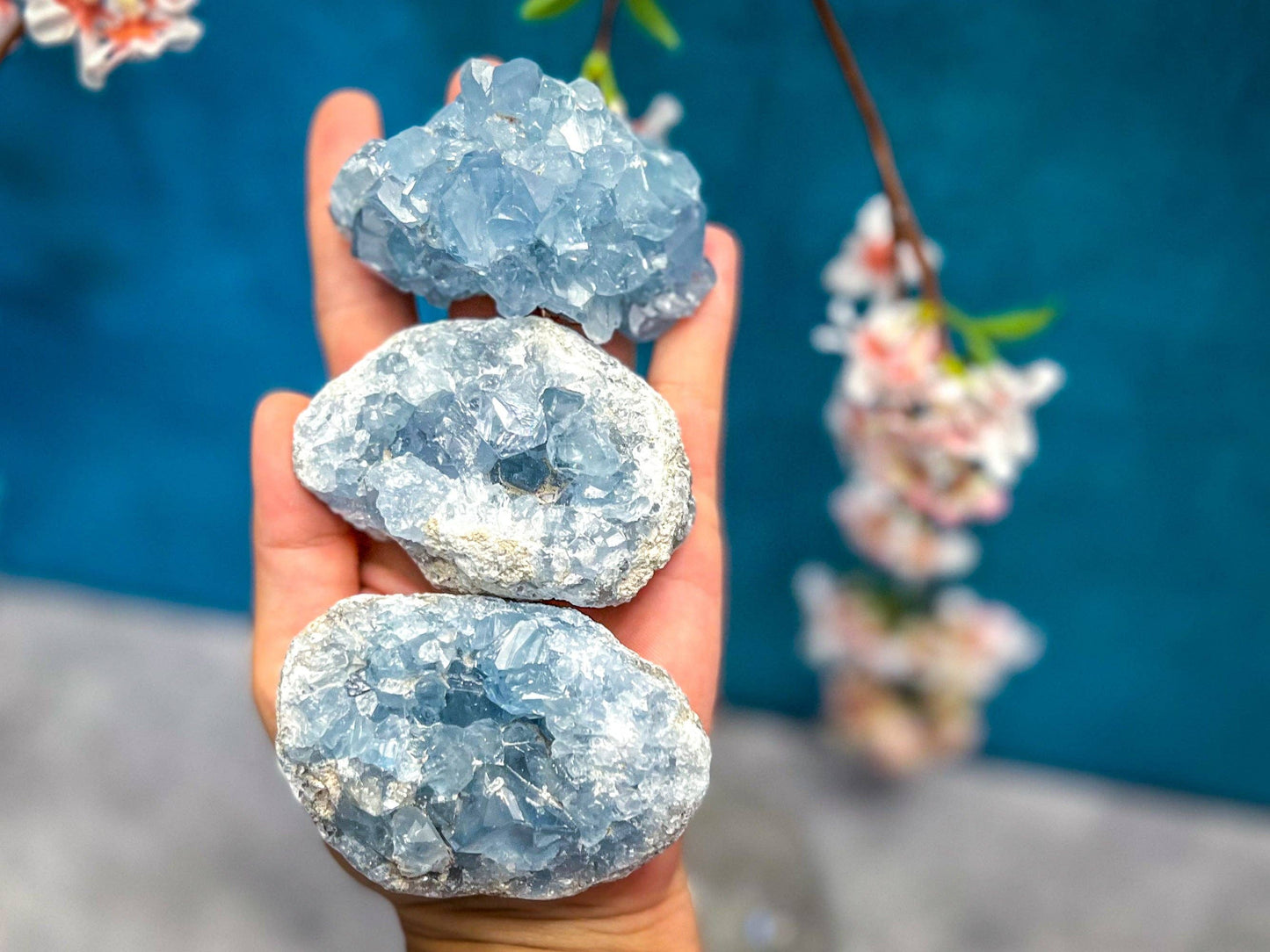 Celestite Clusters