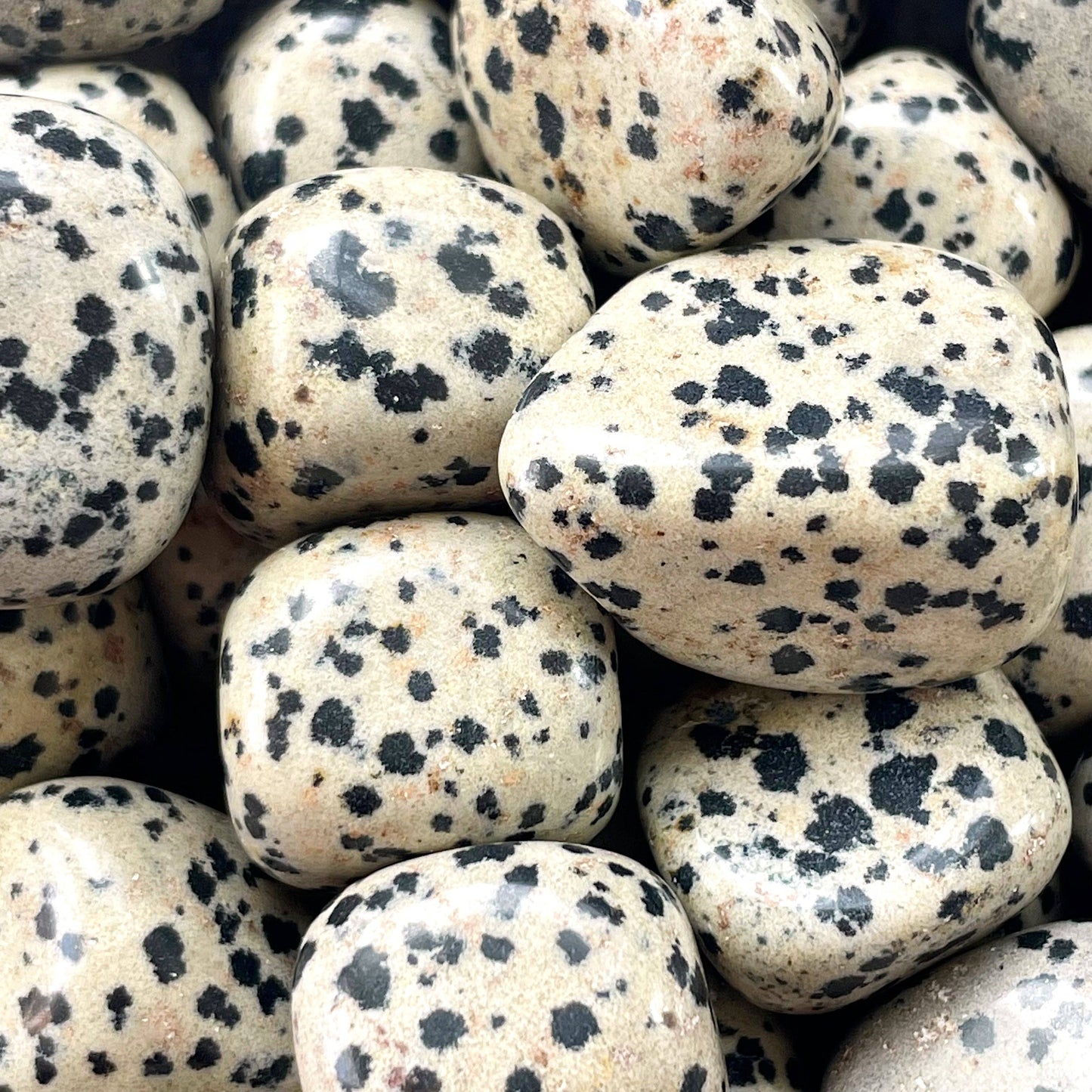Dalmatian Jasper Tumbled Stone