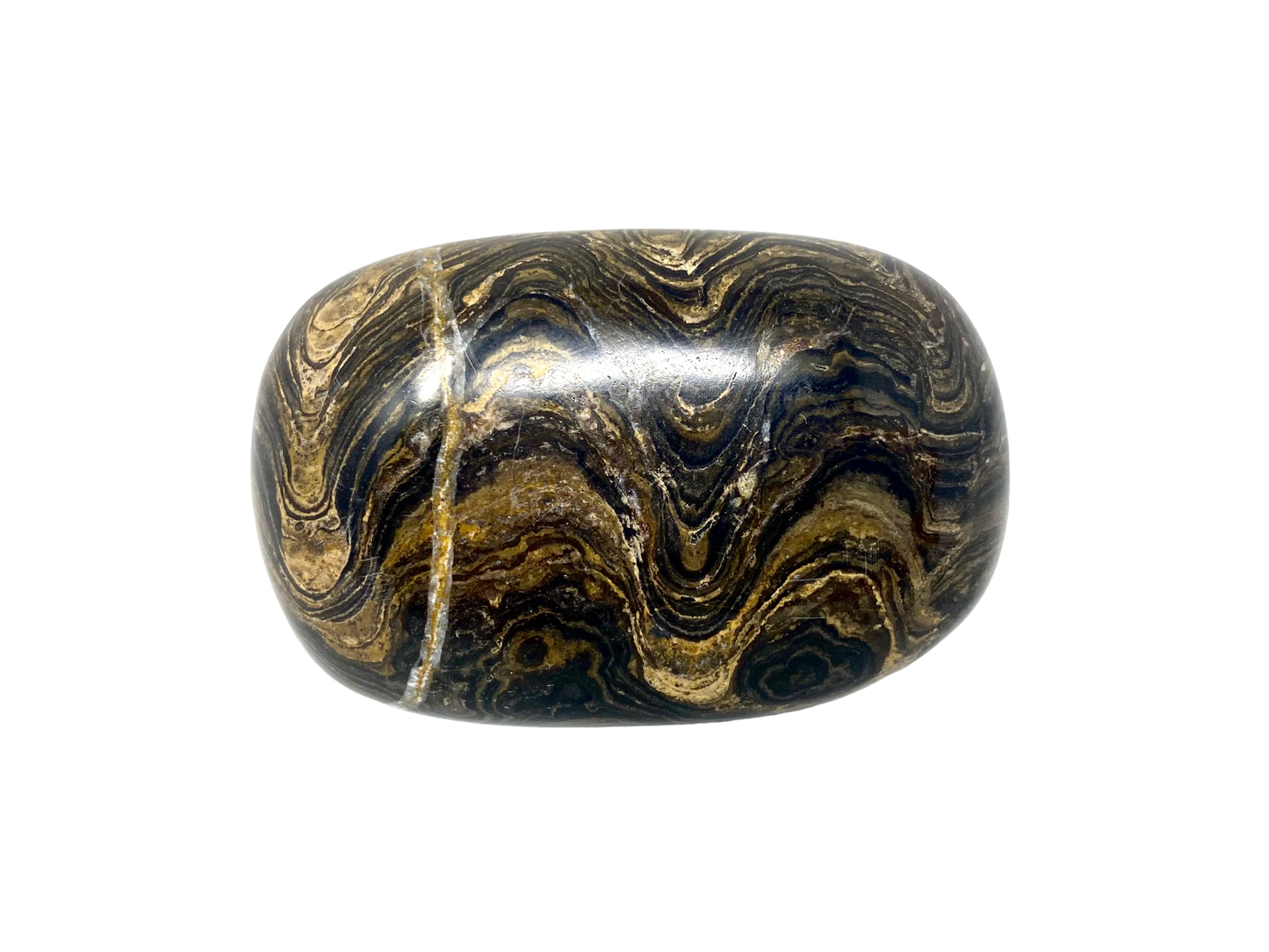 Stromatolite Palm Stones from Australia