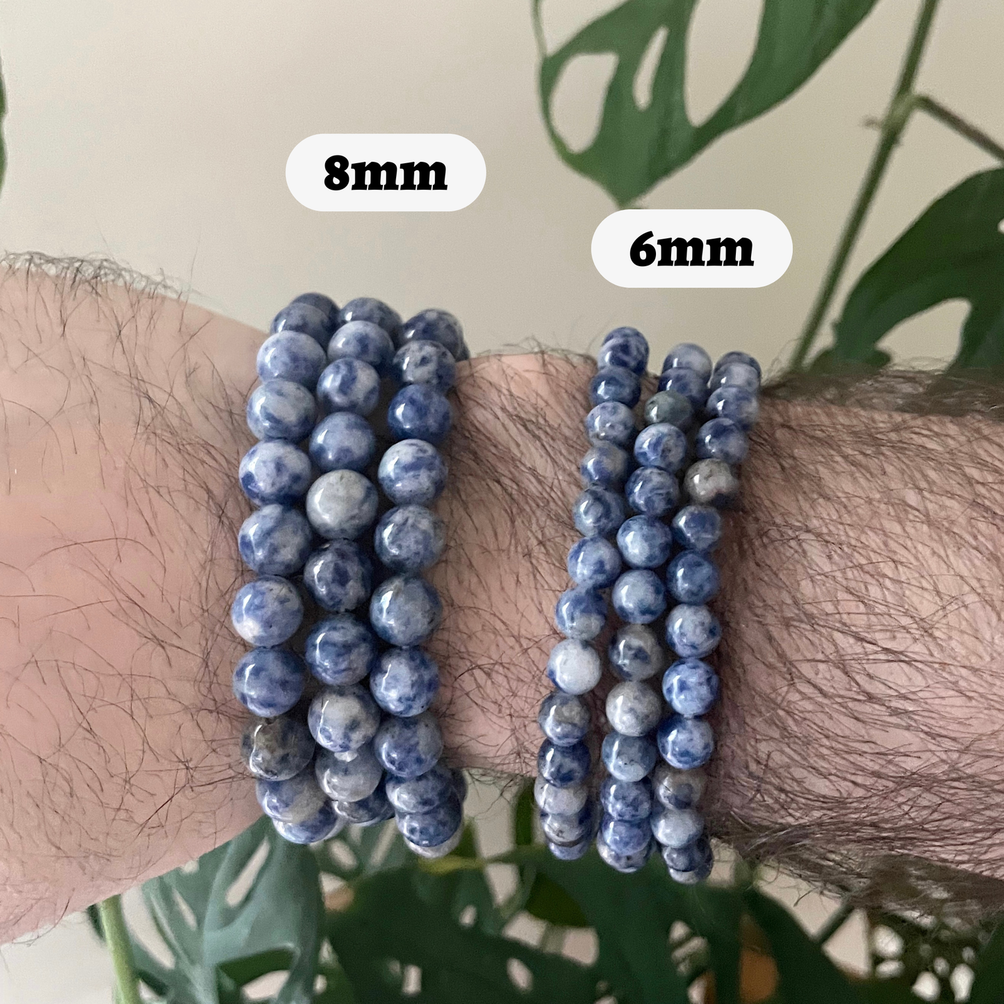 Sodalite Bracelet 8mm or 6mm (Crystals & Stones)