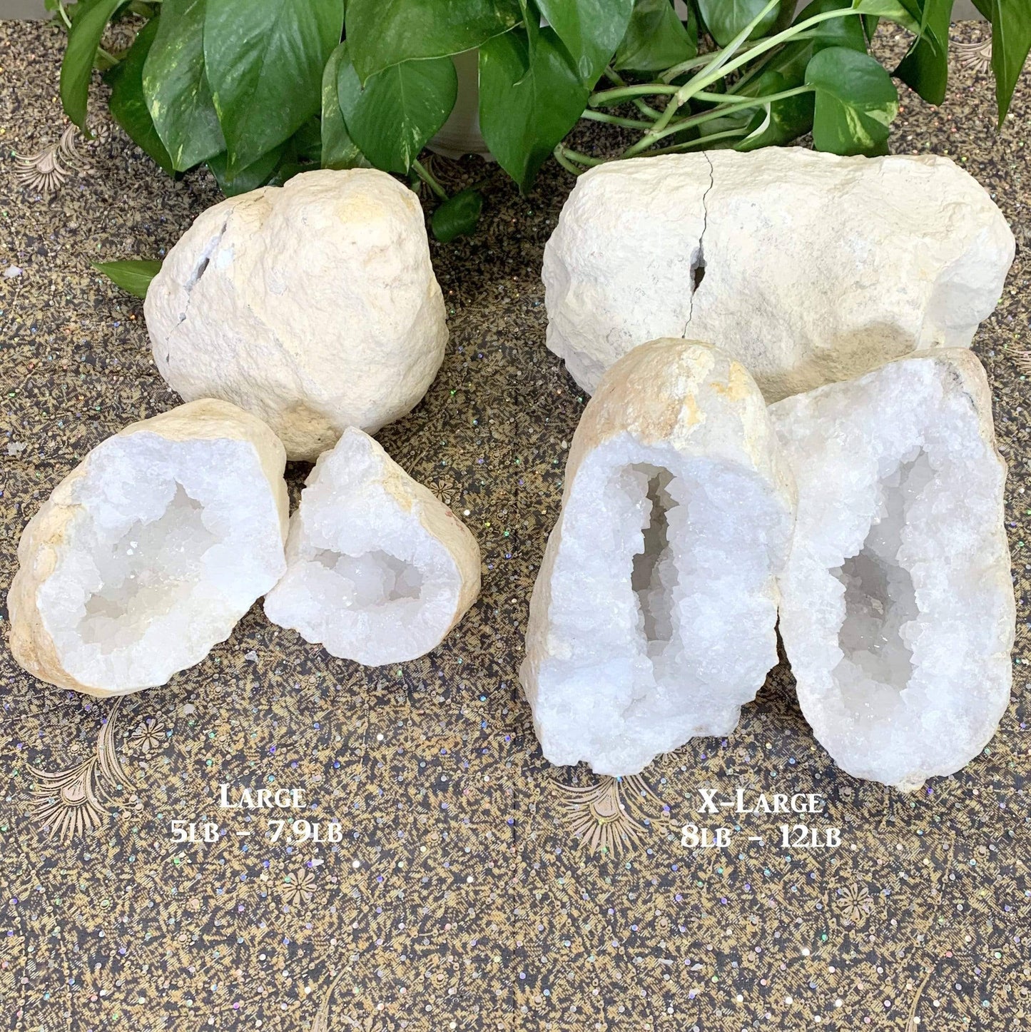 White Quartz Druzy Geode