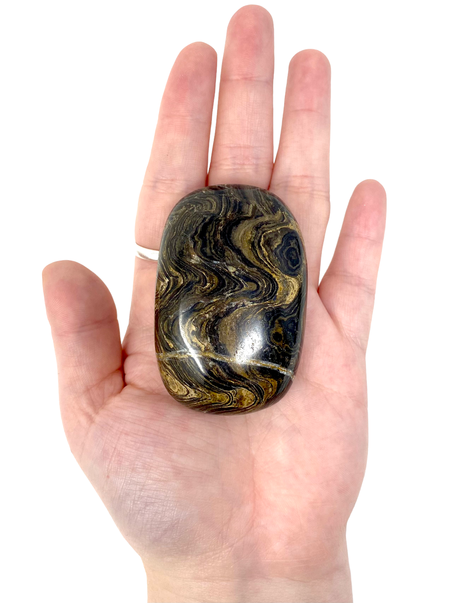Stromatolite Palm Stones from Australia
