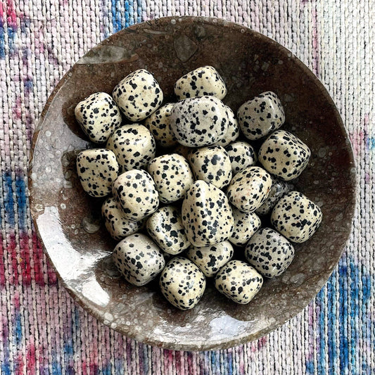 Dalmatian Jasper Tumbled Stone